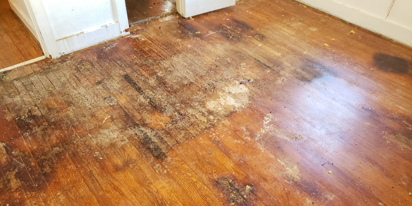 Ensuring Quality and Safety: The Importance of Professional Wood Floor Restoration